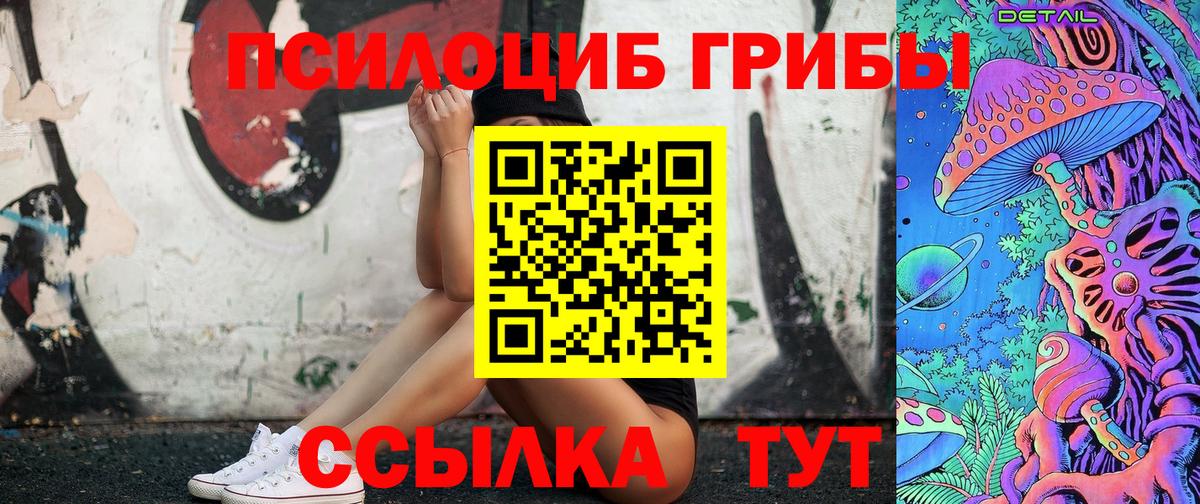 Галлюциногенные грибы Psilocybe Ливны